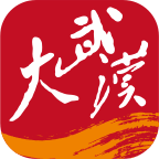 大武汉appv5.1.2 最新版