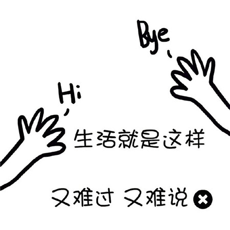 有趣又很可爱的背景图不要错过呀