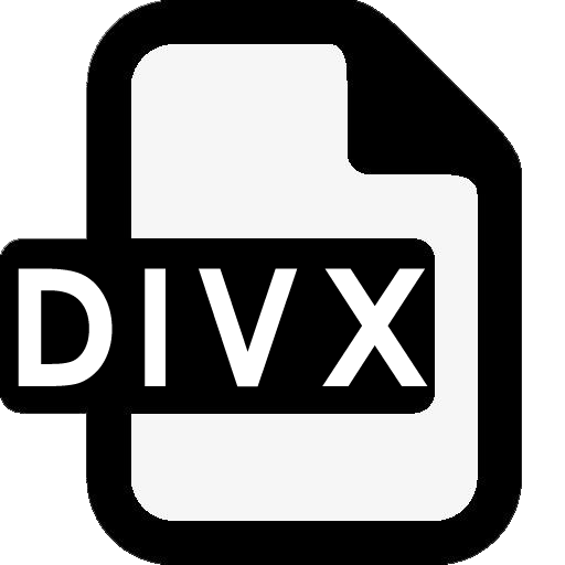DIVX�ļ�