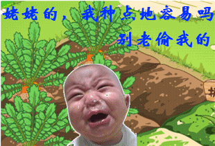 ������Ц��QQũ������ȫ����,�ٶ�����