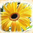 ������qq����ͼƬ