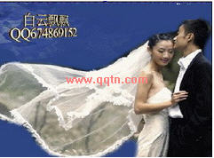 情为何物_别要求海誓山盟