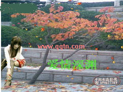 2010情感QQ场景 爱情深渊