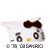 2010QQ���� ����Helle Kitty 