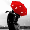 һ��һС����������QQ����ͷ��