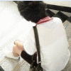 美丽男女QQ个性爆闪头像 100×100