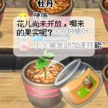 使用秋实粉玫瑰小镇得2倍经验和魅力