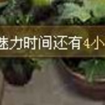 使用秋实粉玫瑰小镇得2倍经验和魅力