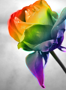 ɫ��QQ�ռ�ͼƬ�ز�