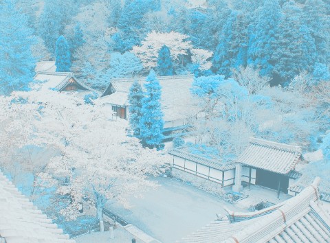 û���˵�·��˭���غ�_Ψ���羰QQ�ռ���ͼ