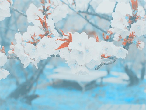 û���˵�·��˭���غ�_Ψ���羰QQ�ռ���ͼ