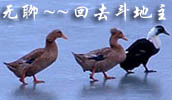 ��ͨ��ЦQQ���� �Ҳ�ƭ��