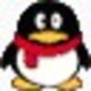 QQ2010�����¼�鿴��(���Բ�������ֱ�Ӳ鿴�����¼)8.7 ��ɫ��