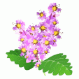 QQ�ӹ�����QQũ����Ʒ���� ���½�����������ѩ
