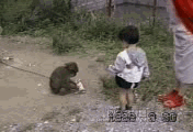 ��Ҷ������� ������Ц��QQ����