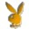 QQ�����ܼҸ���ȥ���(qq�������)3.62 ��ɫ��Ѱ�