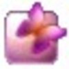 QQũ����ʵ����������(�����ڹ�ʵ�����ʱ�������û�)V1.8 ��ɫ��Ѱ�