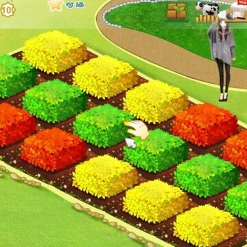 QQũ������ 100����ҵ�ũ��֮·