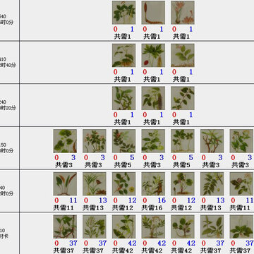 QQ魔法卡片套卡 本草纲目攻略 圣诞感想