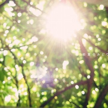 多少回忆只剩一个人珍藏_日系风格的非主流QQ空间意境图片