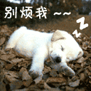 �һᱣ�����_��̬��ЦQQ����