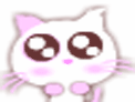 �ɰ�è��QQ���� ��ͨ��̬QQ����