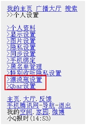 ��Ѷ΢���ֻ������ ����Ư��ƿ��Qbar