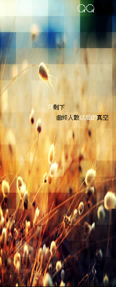 qq�ռ�