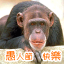 ���˽�����QQ����03