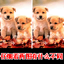 ���˽�����QQ����30