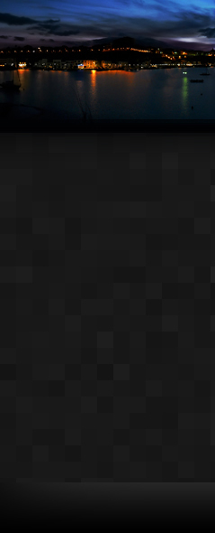 239&times;590
