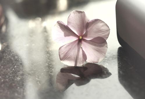 Ů���������⾳ͼƬ_������˵ֻ�ǳ�Ĭ