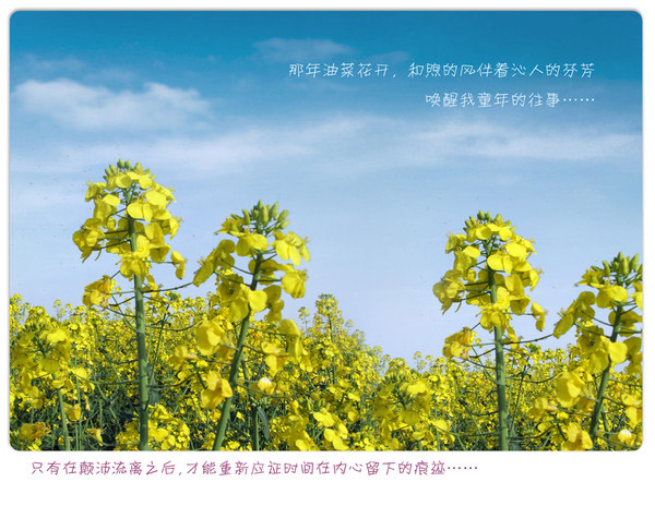 600&times;464