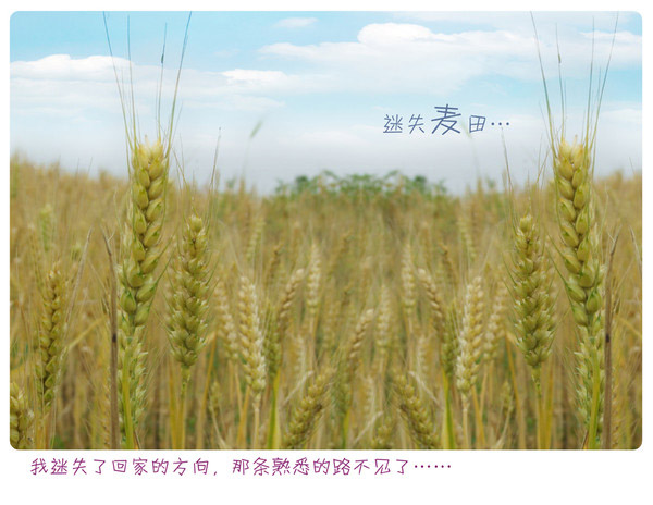 600&times;464