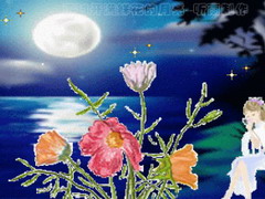 透过开满鲜花的月亮_闪烁你的模样