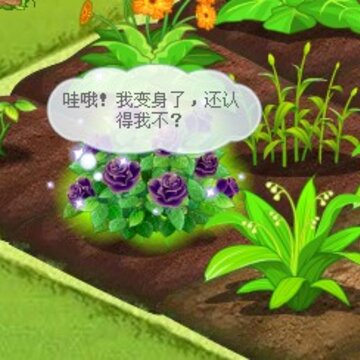 QQ农场路易十四
