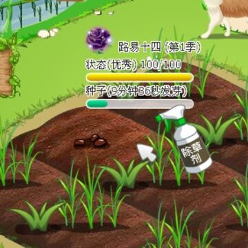 QQ农场路易十四