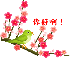 ���  QQ����
