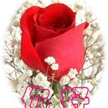 ���  QQ����