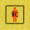 100&times;100