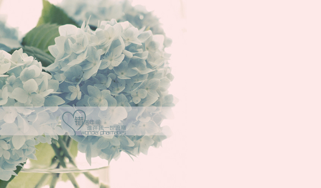 1024&times;600