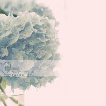 1024&times;600