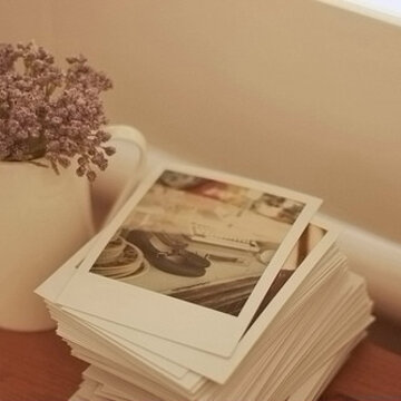 500&times;333