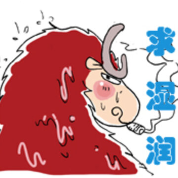 史上最牛的QQ表情:牦牛QQ表情