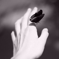 200&times;199