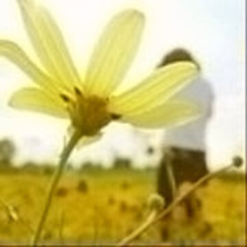 150&times;150