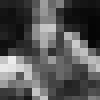 100&times;100