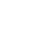 100&times;99