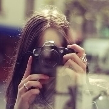 499&times;330
