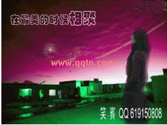 在最美的时候相聚_我总有一天等到你